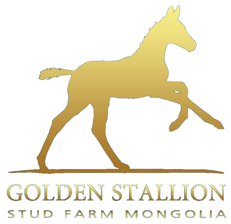 golden stud logo