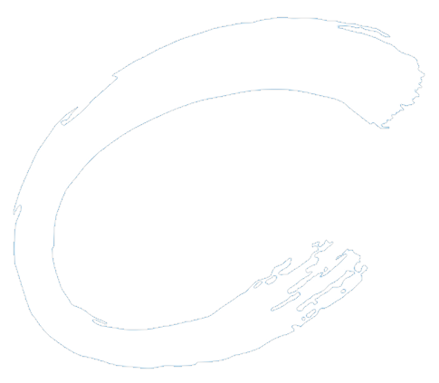 svv logo